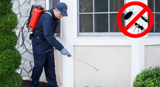Gümüşhacıköy Haşere İlaçlama böcek ilaçlama ve haşere kontrolü — ilaclama-tr.com